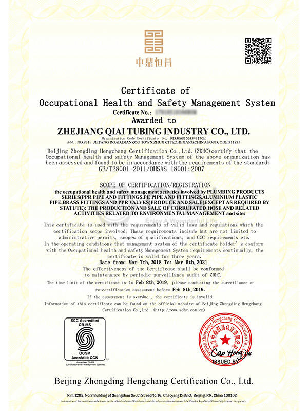 18001 Certificate